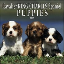 Cavalier King Charles Spaniel Puppies 2005 Wall Calendar