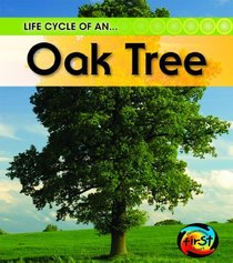 Oak Tree (2nd Edition) (Heinemann First Library)