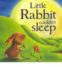 Little Rabbit Couldn't Sleep (Mini Board Books)