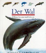 Der Wal--Meyers Kleine Kinderbibliothek (German Edition)