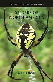 Spiders of North America (Princeton Field Guides, 126)