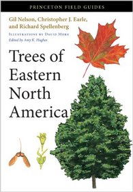 Trees of Eastern North America (Princeton Field Guides)