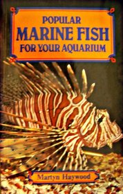 Popular Marine Fish for Your Aquarium
