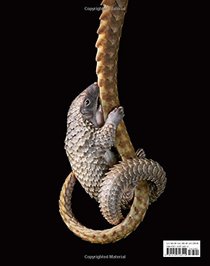 Endangered