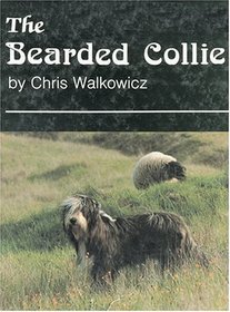 The Bearded Collie