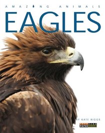 Amazing Animals: Eagles