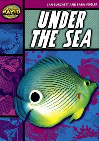 Under the Sea: Stage 3 Set A (Rapid)