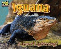 Black Spiny-Tailed Iguana: Lizard Lightning! (Blink of An Eye: Superfast Animals)