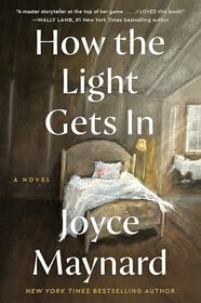 How the Light Gets In: A Novel