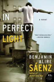 In Perfect Light: A Novel (P.S.)