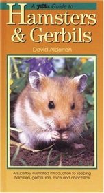 Guide to Hamsters & Gerbils (PetLove Guide To...)
