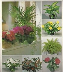Success With House Plants (Vol 1-5)