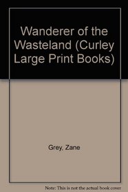 Wanderer of the Wasteland (Curley Large Print Books)