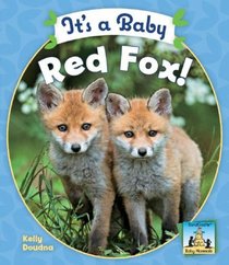 It's a Baby Red Fox! (Baby Mammals)