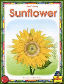 Sunflower (Time and Space Level 1)