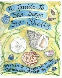 A Guide to San Diego Sea Shells