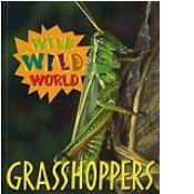 Wild Wild World - Grasshoppers