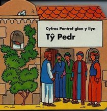 Ty Pedr (Cyfres Pentref glan y llyn)