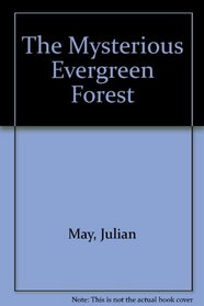 The Mysterious Evergreen Forest