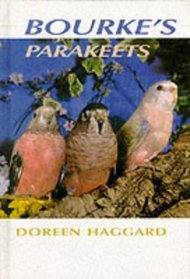 Bourke's Parakeets