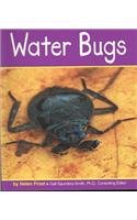 Water Bugs (Insects)