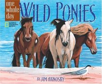 Wild Ponies (One Whole Day)