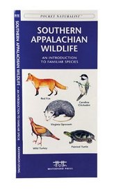 Southern Appalachian Wildlife: An Introduction to Familiar Species of Birds, Mammals, Reptiles, Amphibians, Fish and Insects