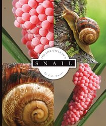 The Life Cycle of a Snail (Life Cycles)