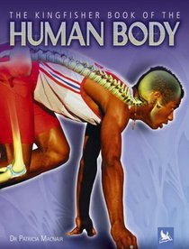 The Kingfisher Book of the Human Body (Kingfisher Book of)