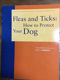 Fleas and ticks: How to protect your dog