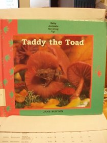 Taddy the Toad (Baby Animals Growing Up)