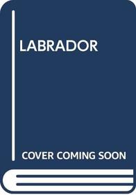 Labrador