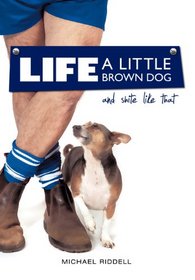 Life, A Little Brown Dog and Shite Like That