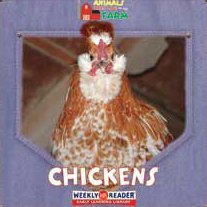 Chickens (Animals That Live on the Farm)