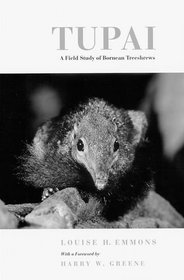 Tupai: A Field Study of Bornean Treeshrews (Organisms and Environments)