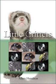 Little Critters
