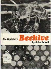World of a Beehive