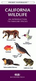 California Wildlife: An Introduction to Familiar Species (Pocket Naturalist)