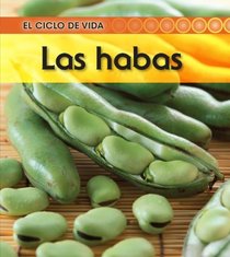 Las habas (Broad Bean) (El Ciclo De Vida / Life Cycle of a. . .) (Spanish Edition)