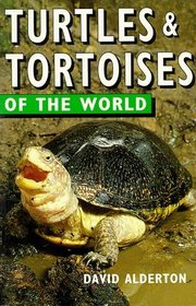 Turtles  Tortoises of the World (Of the World Series)