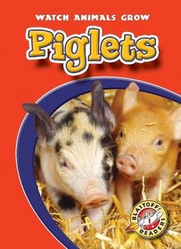 Piglets (Paperback)(Blastoff! Readers)