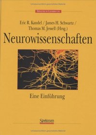 Neurowissenschaften: Eine Einfhrung (German Edition)