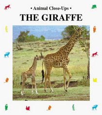 The Giraffe (Animal Close-Ups)