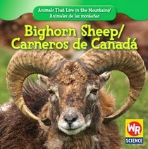 Bighorn Sheep/ Carnero De Canada (Animals That Live in the Mountains/Animales De Las Montanas)