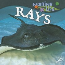 Rays (Marine Life)