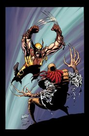 Wolverine by Larry Hama & Marc Silvestri - Volume 1