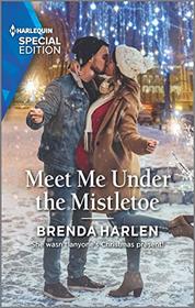 Meet Me Under the Mistletoe (Match Made in Haven, Bk 9) (Harlequin Special Edition, No 2800)