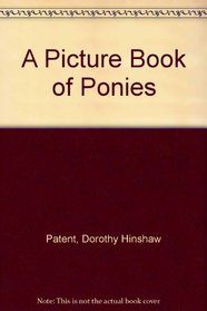 A Picture Book of Ponies