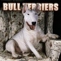 Bull Terriers 2005 Wall Calendar