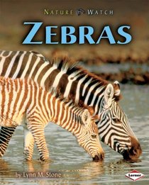 Zebras (Nature Watch)